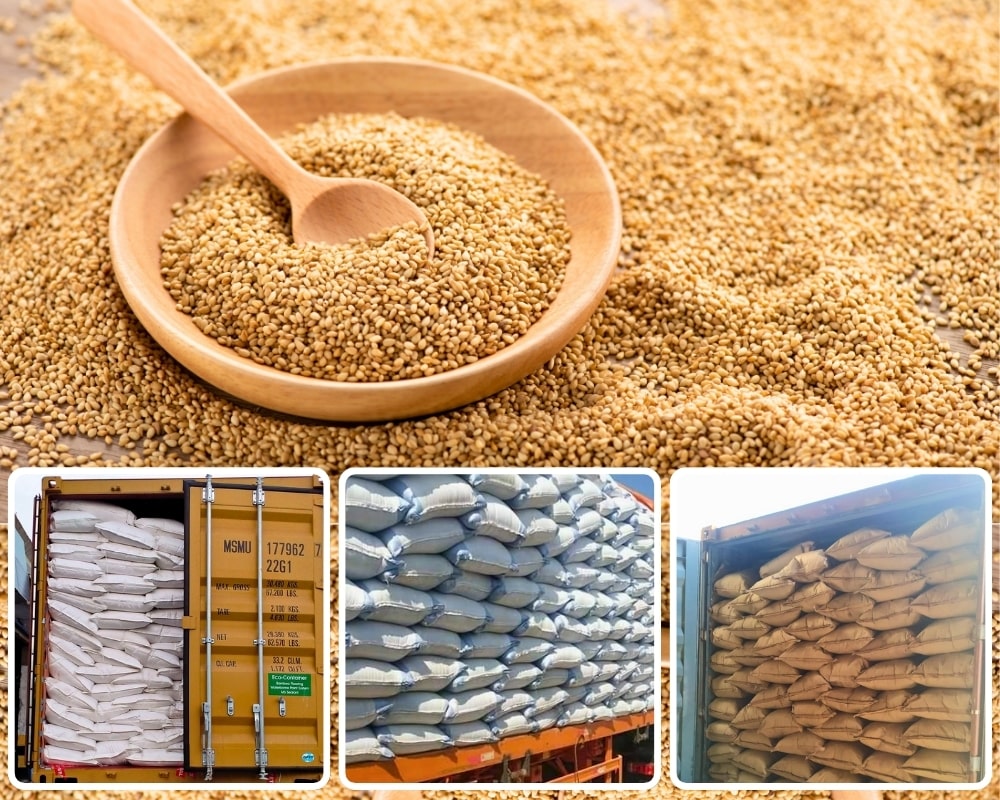 WHAT ARE MOISTURE FACTORS IN SESAME SEED EXPORT?